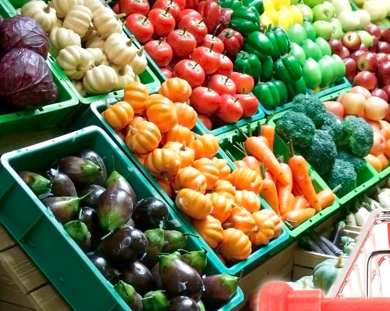 Speak About the Photo Sample