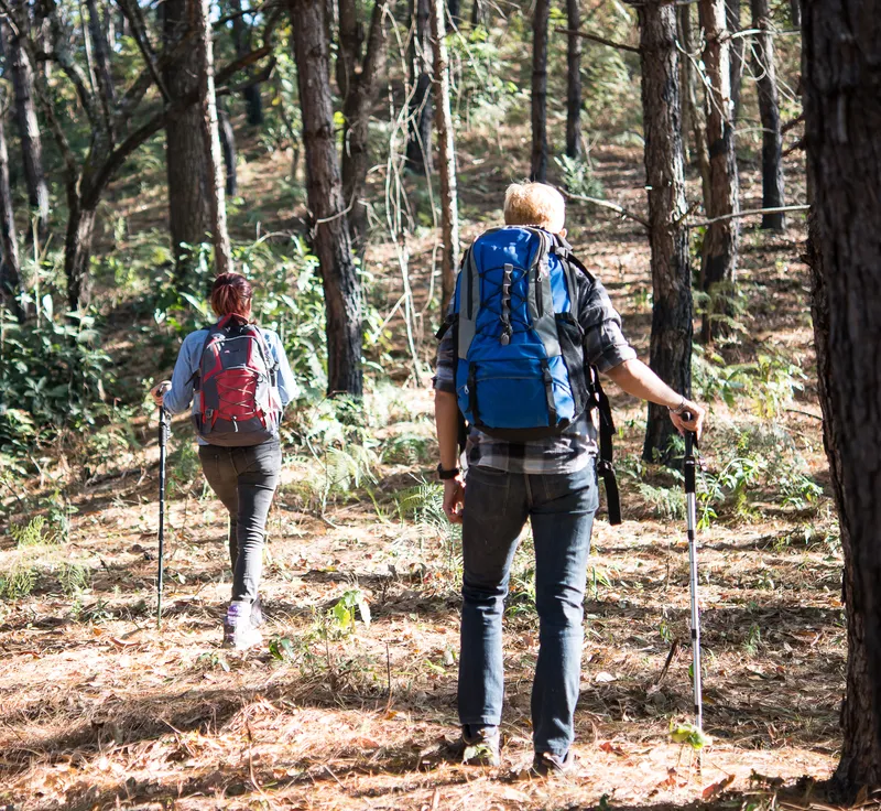 Speak About the Photo Sample