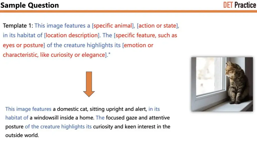 Sample Question 4 of Write about the Photo, with Template 1