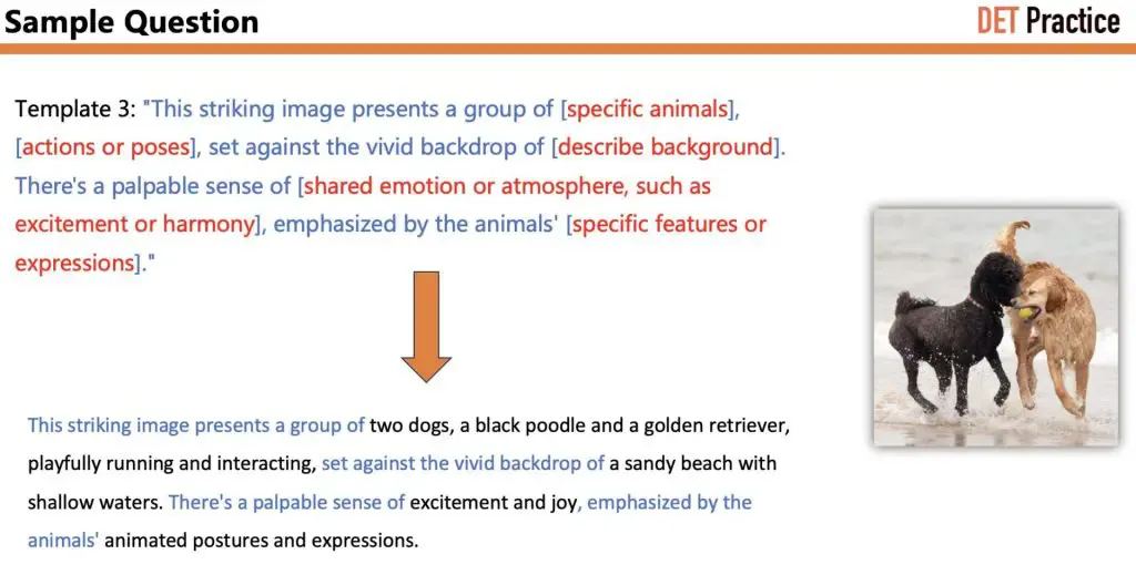 Sample Question 6 of Write about the Photo, with Template 3