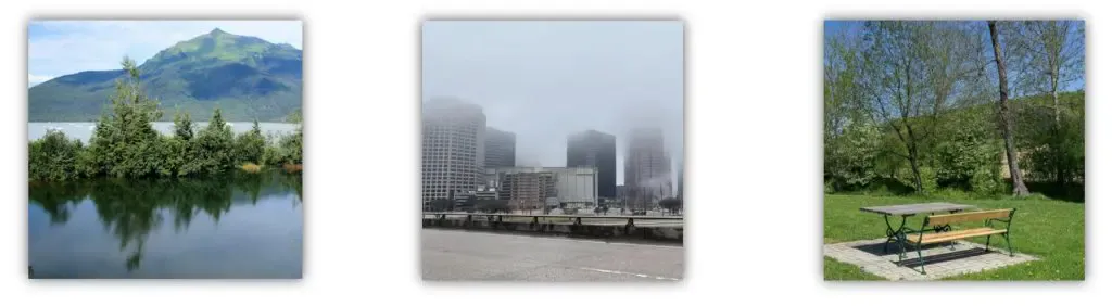 Demo of DET Scenery Type Questions